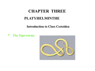 CHAPTER THREE
Introduction to Class Cestoidea
• The Tapeworms
PLATYHELMINTHE
 