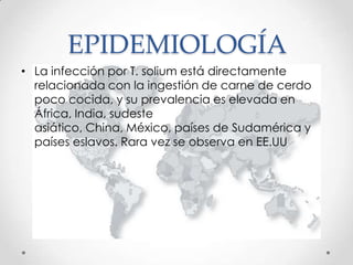 EPIDEMIOLOGÍA
• La infección por T. solium está directamente
  relacionada con la ingestión de carne de cerdo
  poco cocida, y su prevalencia es elevada en
  África, India, sudeste
  asiático, China, México, países de Sudamérica y
  países eslavos. Rara vez se observa en EE.UU
 