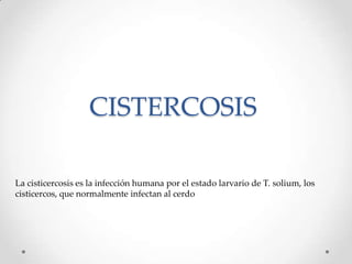 CISTERCOSIS

La cisticercosis es la infección humana por el estado larvario de T. solium, los
cisticercos, que normalmente infectan al cerdo
 