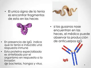 • El unico signo de la tenia
    es encontrar fragmentos
    de esta en las heces

                                  • si los gusanos nose
                                    encuentran en las
                                    heces, el médico puede
                                    observar la producción
• En presencia de IgG indica        de anticuerpos IgG
  que la tenia a inducido una
  respuesta inmune
• Esta proteína especializada
  es sintetizada por el
  organismo en respuesta a la
  invasión
  de bacterias, hongos y virus.
 