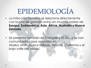 EPIDEMIOLOGÍA
• La infección humana se relaciona directamente
  con la cría de ganado ovino en muchos países de
  Europa, Sudamérica, Asia, África, Australia y Nueva
  Zelanda.

• Se presenta también en Canadá y EE.UU., y se han
  comunicado casos ocurridos en
  Alaska, Utah, Nuevo México, Arizona, California y el
  bajo valle del Misisipí.
 