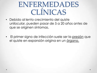 ENFERMEDADES
            CLÍNICAS
• Debido al lento crecimiento del quiste
  unilocular, pueden pasar de 5 a 20 años antes de
  que se originen síntomas.

•   El primer signo de infección suele ser la presión que
    el quiste en expansión origina en un órgano.
 
