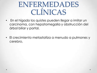ENFERMEDADES
            CLÍNICAS
•   En el hígado los quistes pueden llegar a imitar un
    carcinoma, con hepatomegalia y obstrucción del
    árbol biliar y portal.

• El crecimiento metastatiza a menudo a pulmones y
  cerebro.
 