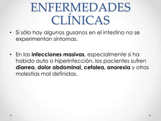 ENFERMEDADES
           CLÍNICAS
• Si sólo hay algunos gusanos en el intestino no se
  experimentan síntomas.

• En las infecciones masivas, especialmente si ha
  habido auto o hiperinfección, los pacientes sufren
  diarrea, dolor abdominal, cefalea, anorexia y otras
  molestias mal definidas.
 