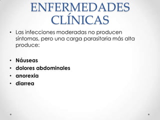 ENFERMEDADES
            CLÍNICAS
• Las infecciones moderadas no producen
  síntomas, pero una carga parasitaria más alta
  produce:

•   Náuseas
•   dolores abdominales
•   anorexia
•   diarrea
 