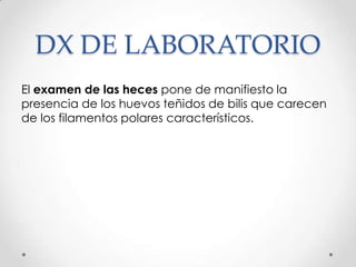 DX DE LABORATORIO
El examen de las heces pone de manifiesto la
presencia de los huevos teñidos de bilis que carecen
de los filamentos polares característicos.
 