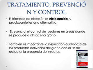 TRATAMIENTO, PREVENCIÓ
         N Y CONTROL
• El fármaco de elección es niclosamida, y
  pracicuantel es una alternativa.

•    Es esencial el control de roedores en áreas donde
    se produce o almacena grano.

• También es importante la inspección cuidadosa de
  los productos derivados del grano con el fin de
  detectar la presencia de insectos.
 