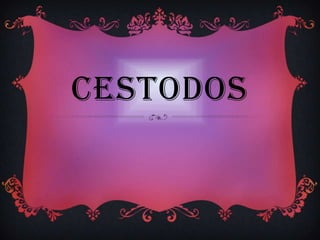 CESTODOS 