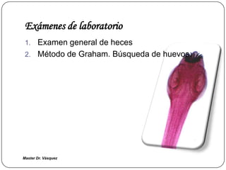 Master Dr. Vàsquez
Exámenes de laboratorio
1. Examen general de heces
2. Método de Graham. Búsqueda de huevos.
 