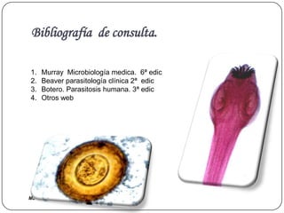 Master Dr. Vàsquez
Bibliografía de consulta.
1. Murray Microbiología medica. 6ª edic
2. Beaver parasitología clínica 2ª edic
3. Botero. Parasitosis humana. 3ª edic
4. Otros web
 