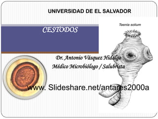 UNIVERSIDAD DE EL SALVADOR


   CESTODOS


       Dr. Antonio Vásquez Hidalgo
      Médico Microbiólogo / Salubrista


www. Slideshare.net/antares2000a
 