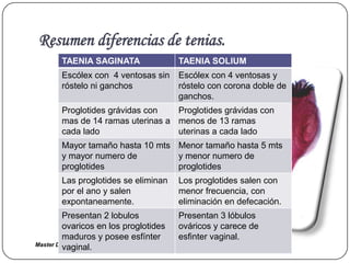 Resumen diferencias de tenias.
       TAENIA SAGINATA                 TAENIA SOLIUM
       Escólex con 4 ventosas sin      Escólex con 4 ventosas y
       róstelo ni ganchos              róstelo con corona doble de
                                       ganchos.
       Proglotides grávidas con   Proglotides grávidas con
       mas de 14 ramas uterinas a menos de 13 ramas
       cada lado                  uterinas a cada lado
       Mayor tamaño hasta 10 mts Menor tamaño hasta 5 mts
       y mayor numero de         y menor numero de
       proglotides               proglotides
       Las proglotides se eliminan     Los proglotides salen con
       por el ano y salen              menor frecuencia, con
       expontaneamente.                eliminación en defecación.
         Presentan 2 lobulos           Presentan 3 lóbulos
         ovaricos en los proglotides   ováricos y carece de
         maduros y posee esfínter      esfinter vaginal.
Master Dr. Vàsquez
         vaginal.
 