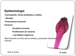 Hymenolepis nana
Epidemiología
•Cosmopolita, climas templados y cálidos
• Mundial .
•Preescolares frecuente
Factores:
          -Fecalismo humano
          -Proliferación de vectores
          - mal Hábitos higiénicos
Mas frecuente en niños que en adultos y presentan infecciones
masivas.




   Master Dr. Vàsquez                                           H. nana
 