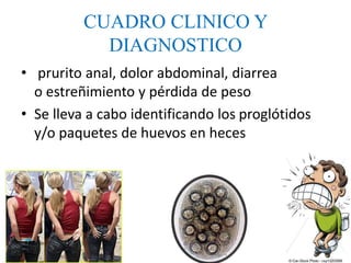 CUADRO CLINICO Y
DIAGNOSTICO
• prurito anal, dolor abdominal, diarrea
o estreñimiento y pérdida de peso
• Se lleva a cabo identificando los proglótidos
y/o paquetes de huevos en heces
 