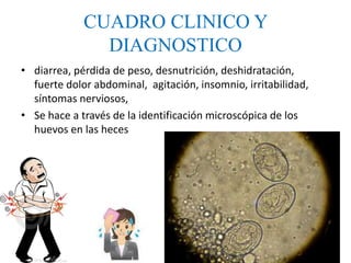 CUADRO CLINICO Y
DIAGNOSTICO
• diarrea, pérdida de peso, desnutrición, deshidratación,
fuerte dolor abdominal, agitación, insomnio, irritabilidad,
síntomas nerviosos,
• Se hace a través de la identificación microscópica de los
huevos en las heces
 