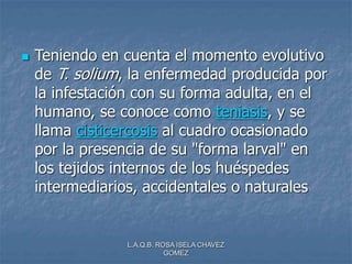 L.A.Q.B. ROSA ISELA CHAVEZ
GOMEZ
 Teniendo en cuenta el momento evolutivo
de T. solium, la enfermedad producida por
la infestación con su forma adulta, en el
humano, se conoce como teniasis, y se
llama cisticercosis al cuadro ocasionado
por la presencia de su "forma larval" en
los tejidos internos de los huéspedes
intermediarios, accidentales o naturales
 