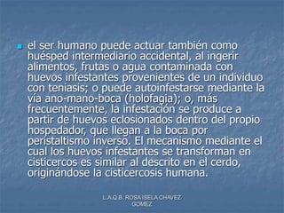 L.A.Q.B. ROSA ISELA CHAVEZ
GOMEZ
 el ser humano puede actuar también como
huésped intermediario accidental, al ingerir
alimentos, frutas o agua contaminada con
huevos infestantes provenientes de un individuo
con teniasis; o puede autoinfestarse mediante la
vía ano-mano-boca (holofagia); o, más
frecuentemente, la infestación se produce a
partir de huevos eclosionados dentro del propio
hospedador, que llegan a la boca por
peristaltismo inverso. El mecanismo mediante el
cual los huevos infestantes se transforman en
cisticercos es similar al descrito en el cerdo,
originándose la cisticercosis humana.
 
