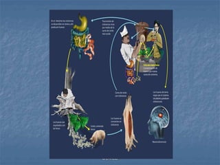 L.A.Q.B. ROSA ISELA CHAVEZ
GOMEZ
 