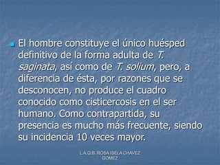 L.A.Q.B. ROSA ISELA CHAVEZ
GOMEZ
 El hombre constituye el único huésped
definitivo de la forma adulta de T.
saginata, así como de T. solium, pero, a
diferencia de ésta, por razones que se
desconocen, no produce el cuadro
conocido como cisticercosis en el ser
humano. Como contrapartida, su
presencia es mucho más frecuente, siendo
su incidencia 10 veces mayor.
 