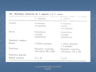 L.A.Q.B. ROSA ISELA CHAVEZ
GOMEZ
 