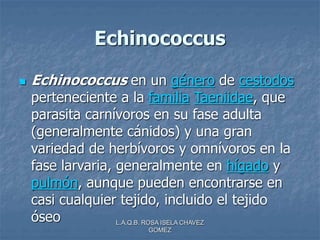 L.A.Q.B. ROSA ISELA CHAVEZ
GOMEZ
Echinococcus
 Echinococcus en un género de cestodos
perteneciente a la familia Taeniidae, que
parasita carnívoros en su fase adulta
(generalmente cánidos) y una gran
variedad de herbívoros y omnívoros en la
fase larvaria, generalmente en hígado y
pulmón, aunque pueden encontrarse en
casi cualquier tejido, incluido el tejido
óseo
 