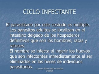 L.A.Q.B. ROSA ISELA CHAVEZ
GOMEZ
CICLO INFECTANTE
El parasitismo por este cestodo es múltiple.
Los parásitos adultos se localizan en el
intestino delgado de los hospederos
definitivos que son los hombres, ratas y
ratones.
El hombre se infecta al ingerir los huevos
que son infectantes inmediatamente al ser
eliminados en las heces de individuos
parasitados.
 