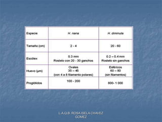 L.A.Q.B. ROSA ISELA CHAVEZ
GOMEZ
 