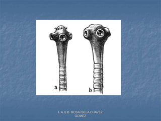 L.A.Q.B. ROSA ISELA CHAVEZ
GOMEZ
 