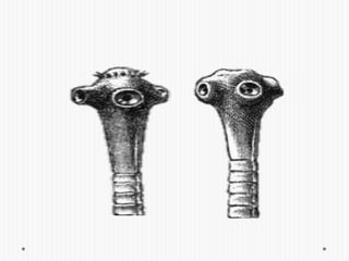 Los Proglotides grávidos salen solos con -  frecuencia, en cambio se observa eliminación de porciones de estróbilo con la defecación.