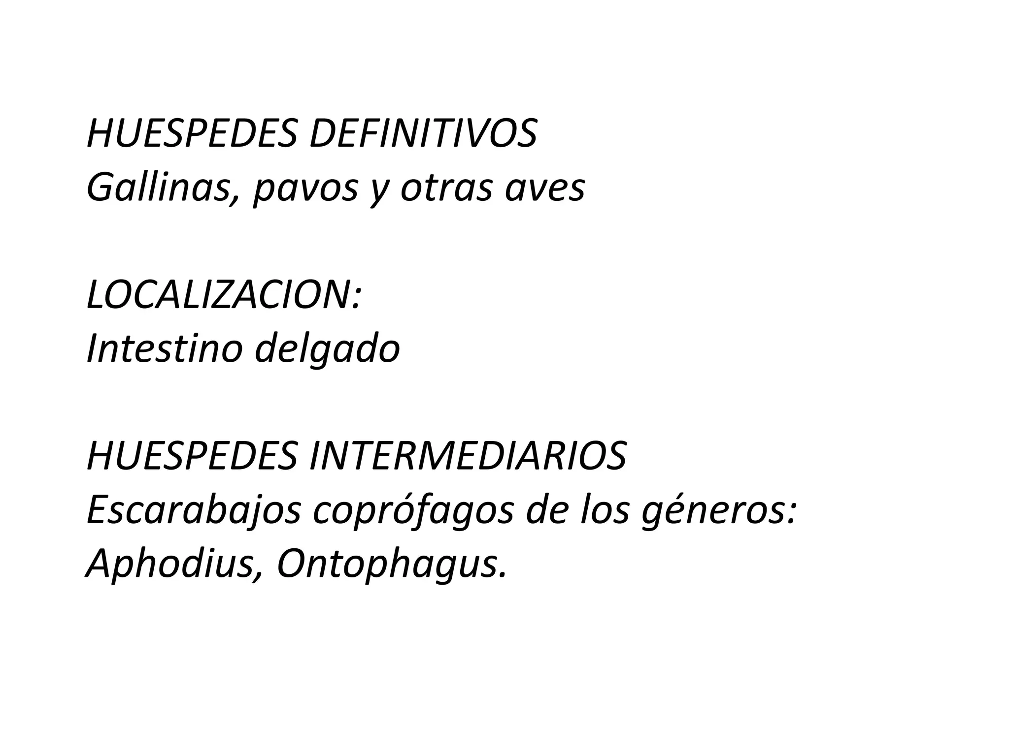 Examen directo de cisticercos.