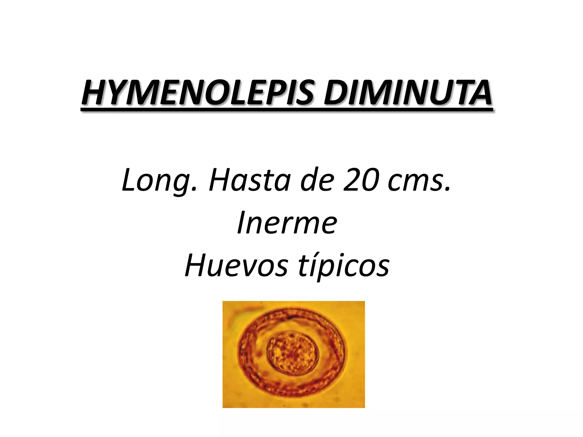 La vacuna se basa en la inmunorregulación de una molécula del parásito, llamada Gp175 (molécula formada por tres cadenas polipeptídicas, y es exclusiva de estos parásitos, que la sintetizan y luego la secretan)La vacuna es 97.9% efectiva contra la Cisticercosis porcina120 animales placebo – 120 animales vacunadosGrupo Placebo:  contabilizaron 66.563 parásitosGrupo vacunado: 1.369