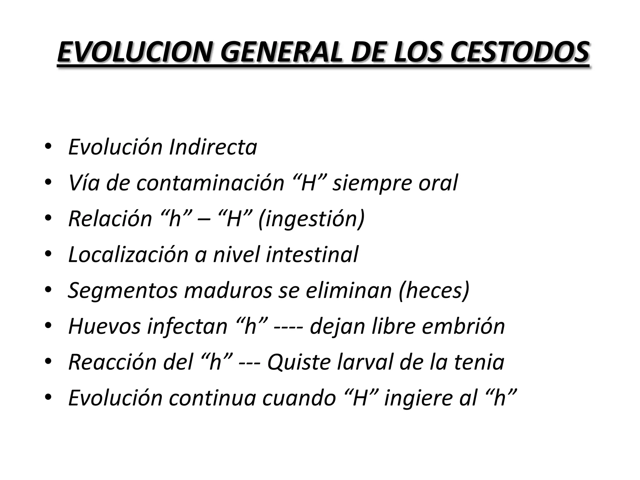 SISTEMA REPRODUCTORSon hermafroditasEn cada segmento hay un sistema masculino y femenino.Fecundación cruzada o autofecundaciónTestículos  (1 a 2 hasta mas de 1000)Órgano de la copulacion o cirroOvario, Ootipo, Oviducto, Glándula vitelogena, Útero 