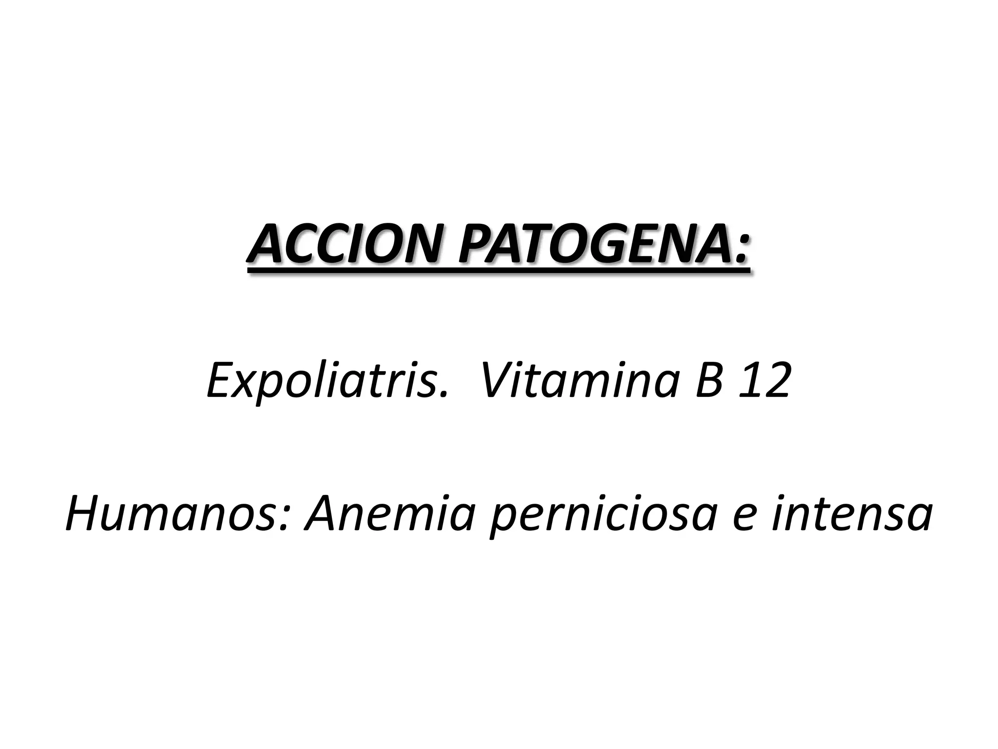  Aplicar la legislación sanitaria en los mataderos del país.