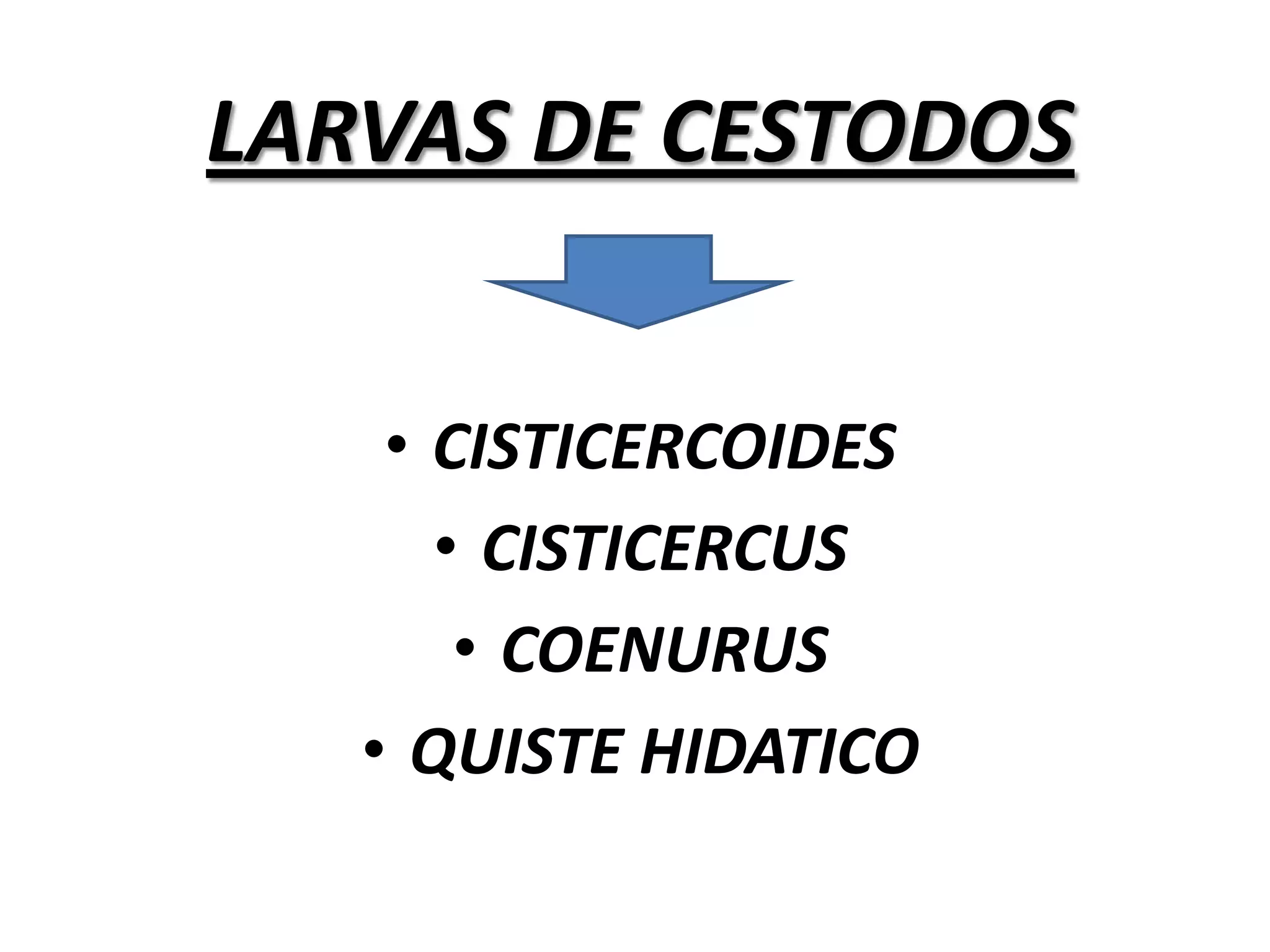 HUEVOS DE CESTODOSTres capas Capa interna se conoce como “embrioforo”Forma circular o semicircularSubcuadrangulares o subtriangulares