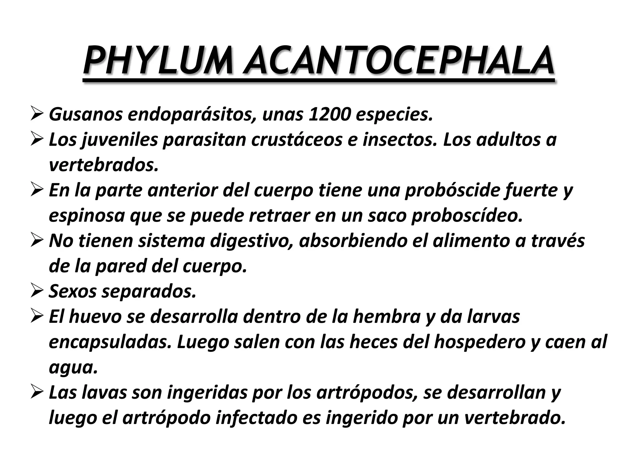  Inculcar medidas higiénicas (lavado de manos).