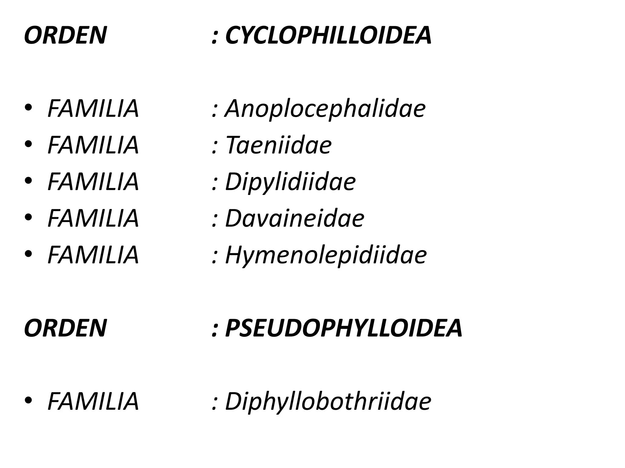 De mayor tamaño que el cisticercus