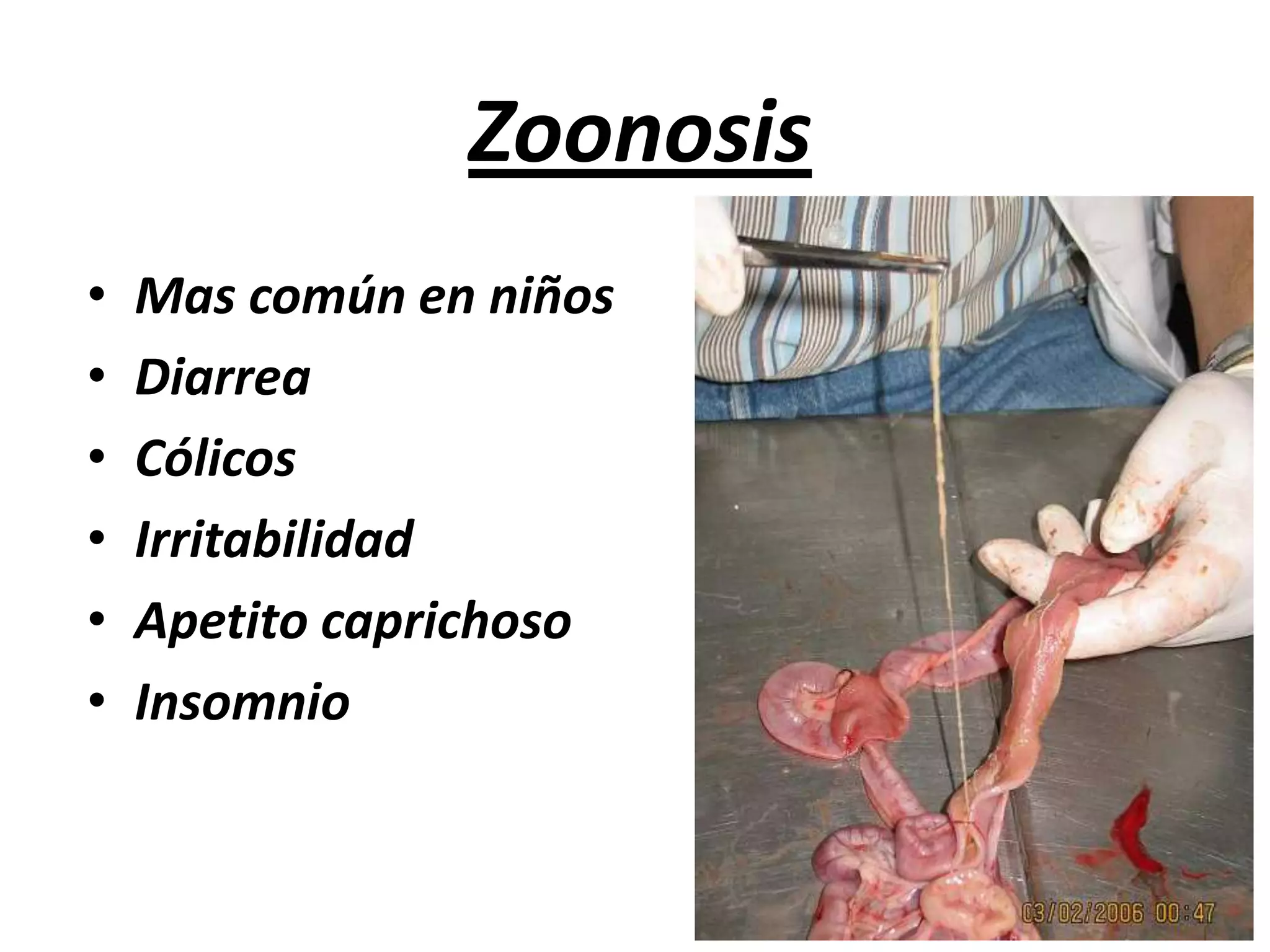 PATOGENIAReducción de la luz intestinal, irritación de mucosasInflamación, ulceración, formación de membranas diftericas, fibrosis