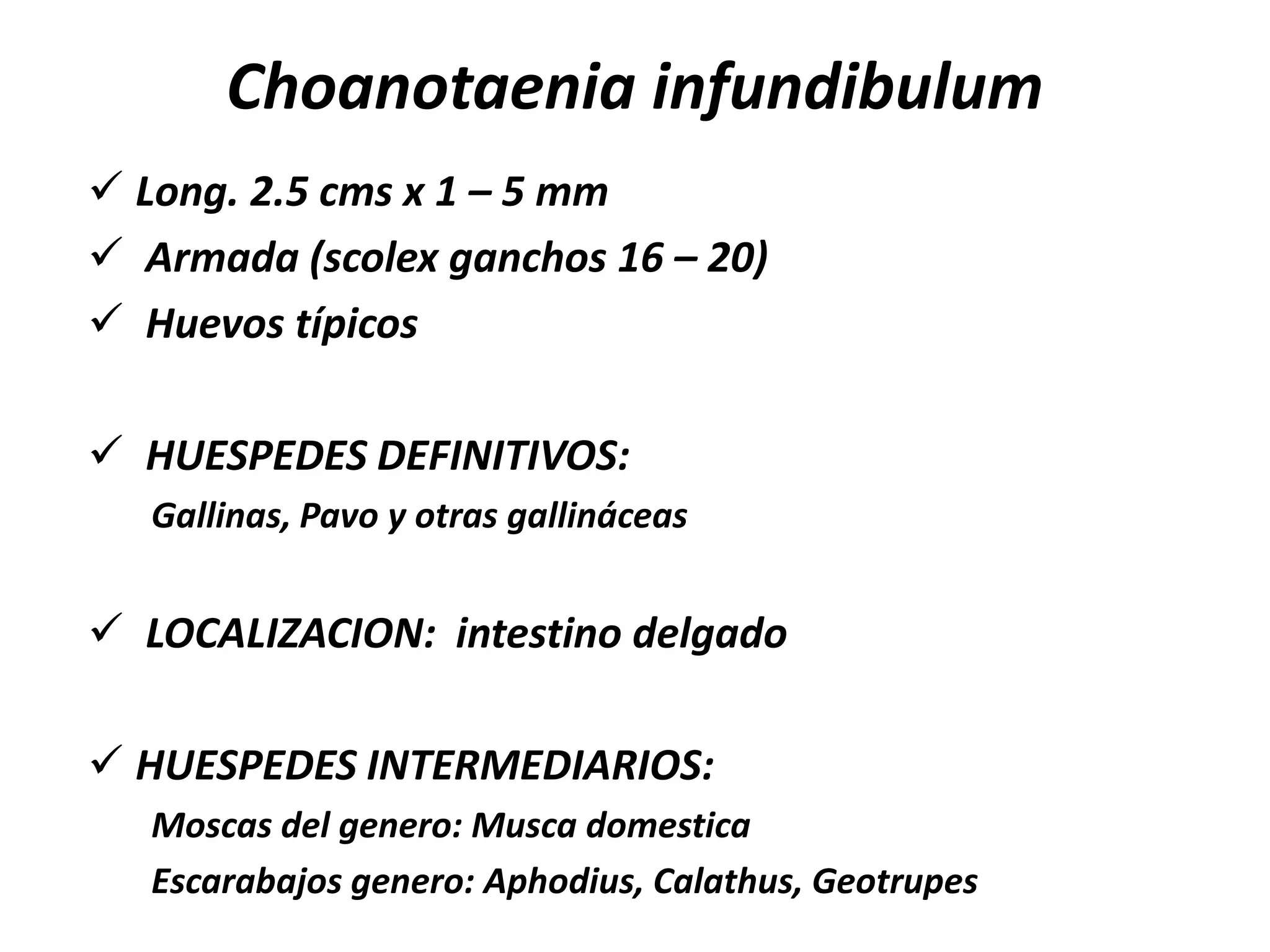 CONTROL Y TRATAMIENTOManejo adecuado de potrerosDisminución “h”Tratamiento con antihelmínticos Pamoato de pirantel (6.6 mg/Kg V.O) o 13.2 mg/kg.Praziquantel 2.5 mg/Kg