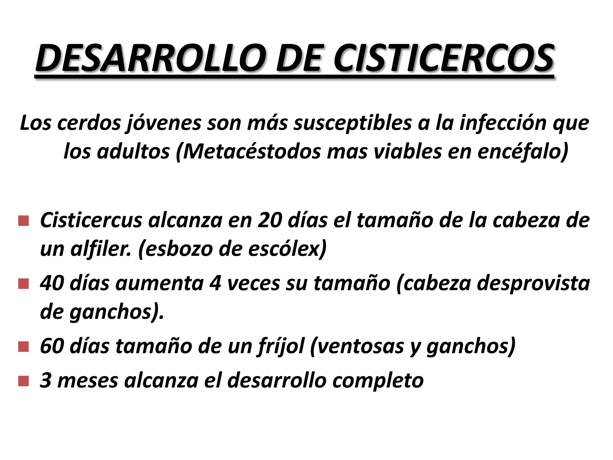 FAMILIA DAVAINEIDAEParásitos de tamaño medioArmados, (ganchos dispuestos en 2 o 3 coronas)Proglotides con 1 o 2 equipajes genitalesHuevos típicosEstado larval: CisticercoidesParásitos de aves y mamíferos 