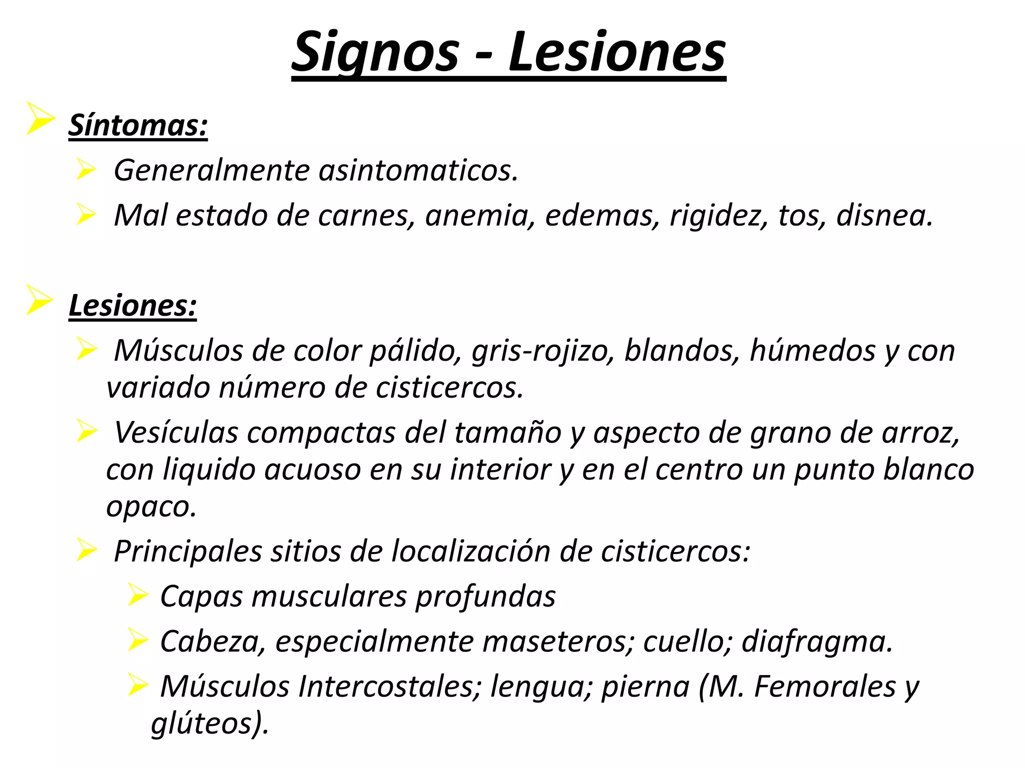 GENEROS:DavaineaproglotinaRaillietinaechinobothridaRaillietinatetragonaRaillietinacesticillus