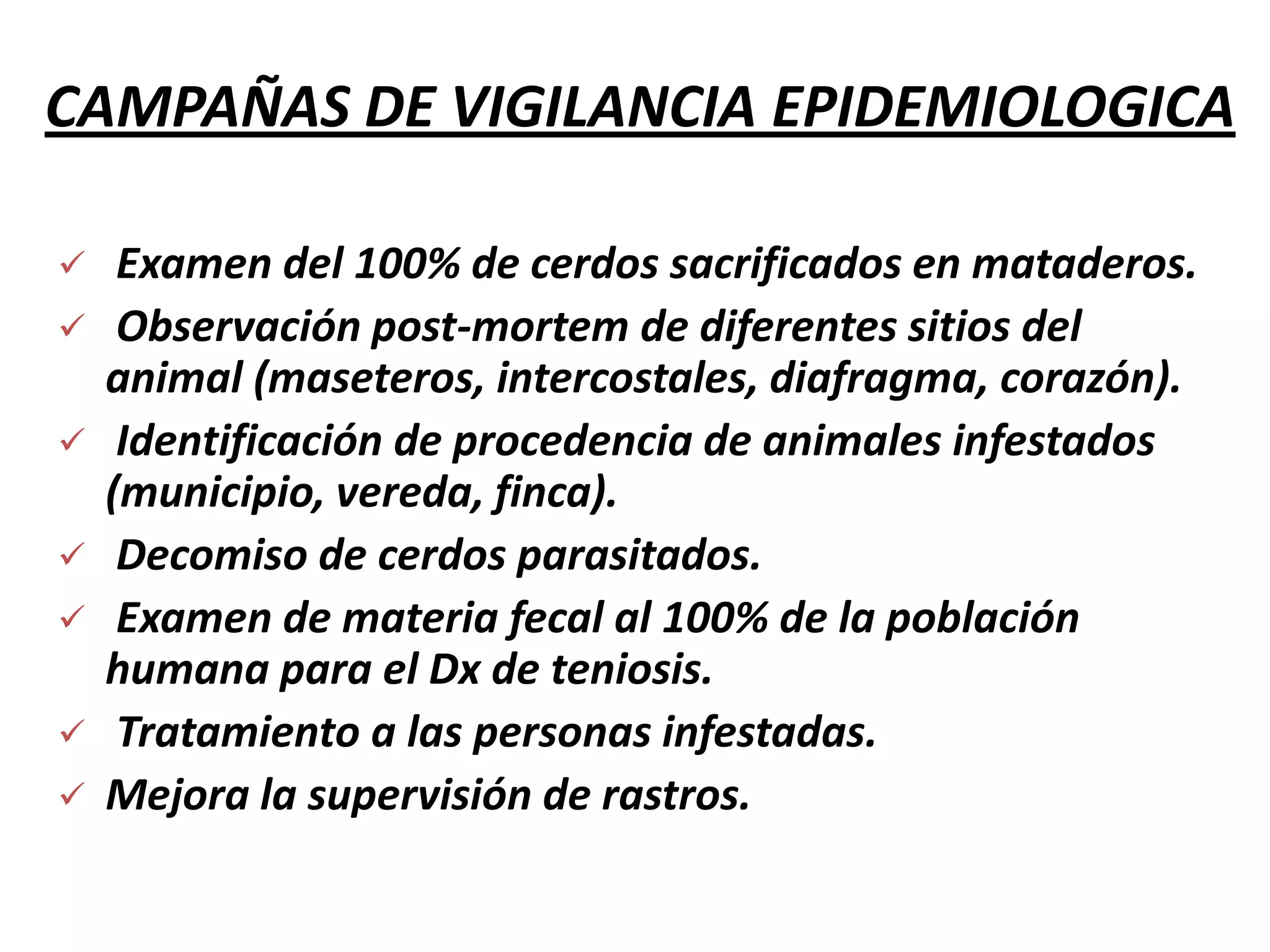 GENEROS:TaeniasoliumTaeniasaginataTaeniaovisTaeniapsiformisTaeniahidatigenaTaeniataeniformesTaeniamulticepsEchinococusgranulosus