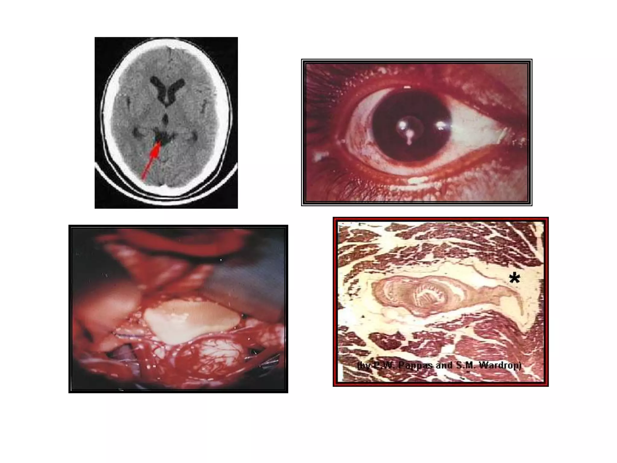  Malas condiciones sanitarias y higiénicas.