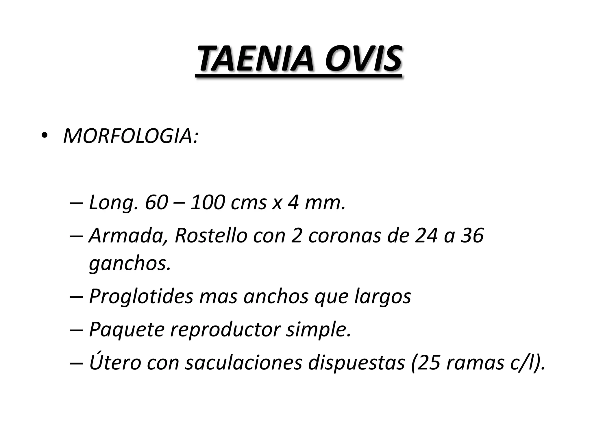  Hacinamiento.DESARROLLO DE CISTICERCOSLos cerdos jóvenes son más susceptibles a la infección que los adultos (Metacéstodos mas viables en encéfalo)Cisticercus alcanza en 20 días el tamaño de la cabeza de un alfiler. (esbozo de escólex)