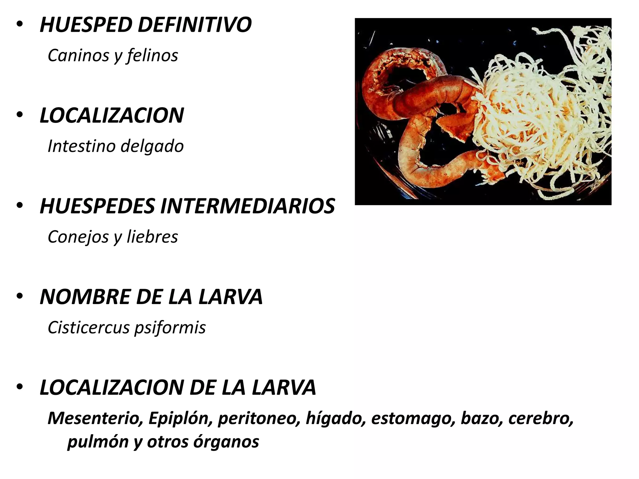 3 meses alcanza el desarrollo completoSignos - LesionesSíntomas: