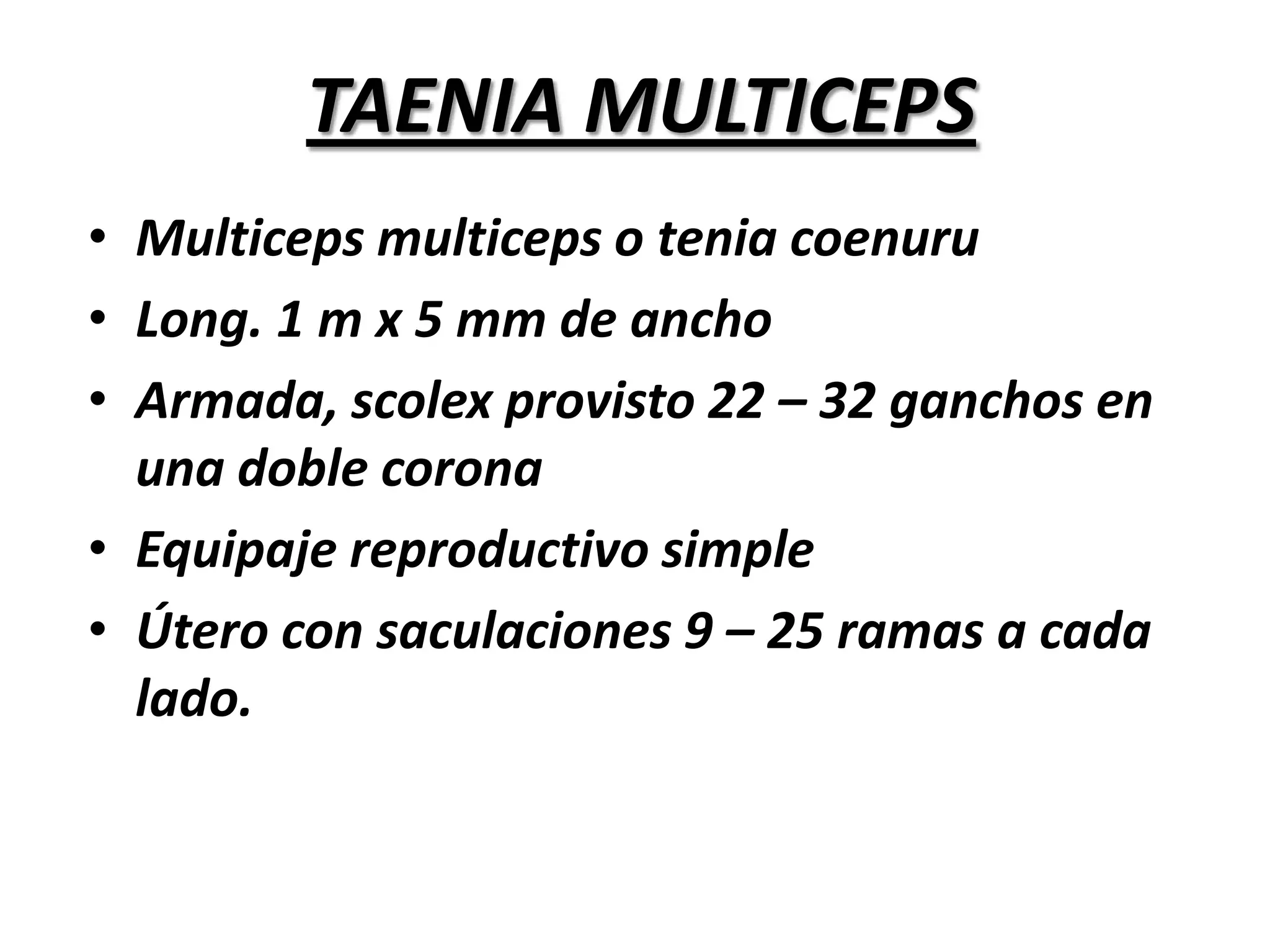  Principales sitios de localización de cisticercos: