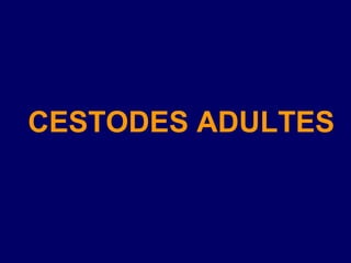 CESTODES ADULTES
 