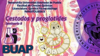 Benemérita Universidad Autónoma de Puebla
Facultad de Ciencias Químicas
Licenciatura: Químico Farmacobiólogo
PARASITOLOGIA II
 