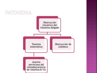 Obstrucción
mecánica del
intestino delgado
Toxemia
sistemática
Anemia
perniciosa del
cestodo(carencia
de vitamina B 12)
Obstrucción de
colédoco
 