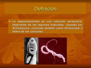 Definición La esquistosomosis es una infección parasitaria, importante de las regiones tropicales, causada por  Schistosoma , conocida también como bilharziosis o fiebre de los caracoles 