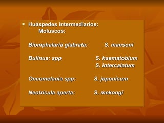 Huéspedes intermediarios:   Moluscos: Biomphalaria   glabrata:   S. mansoni Bulinus: spp    S. haematobium     S. intercalatum Oncomelania spp:     S. japonicum   Neotricula aperta:   S. mekongi 